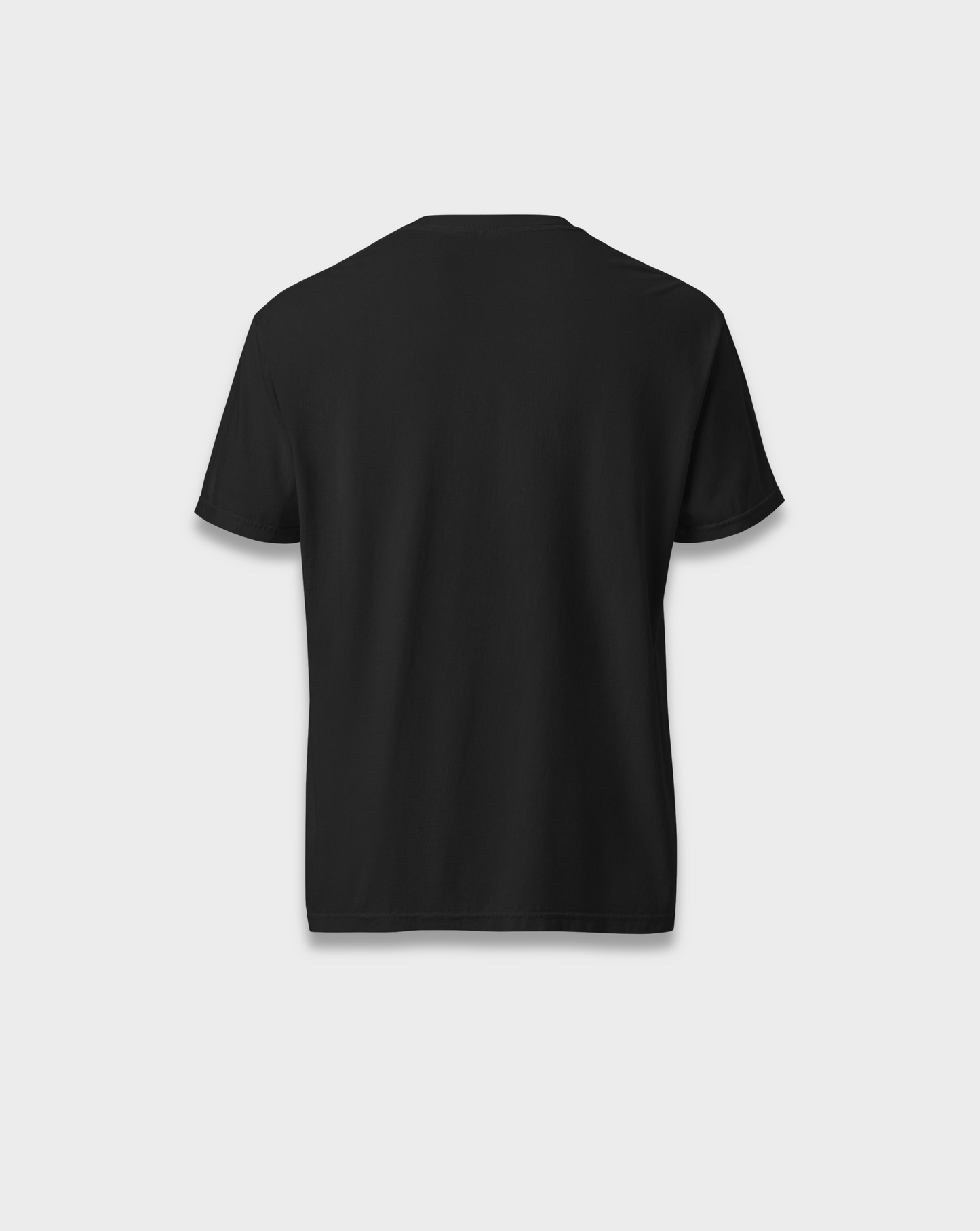 Regular Fit Cotton T-Shirt