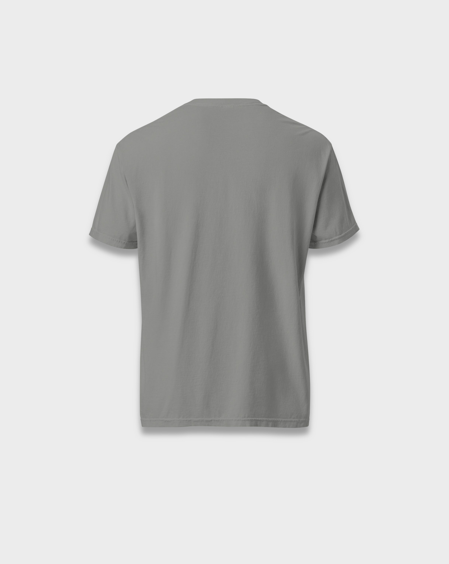 Regular Fit Cotton T-Shirt
