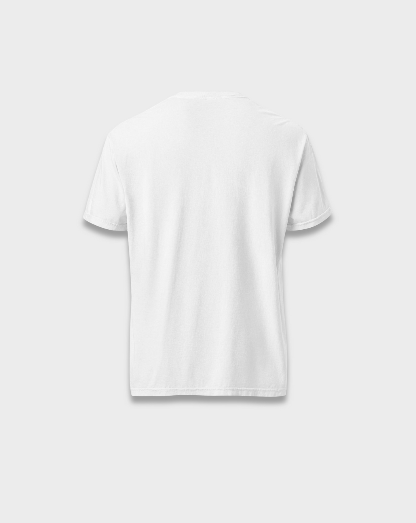 Regular Fit Cotton T-Shirt